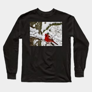 Winter Cardinal 2 Long Sleeve T-Shirt